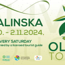 OliveTouch2024