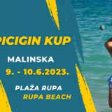 the-pirate-bay-picigin-kup