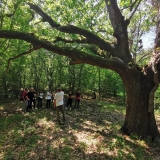 interpretive-walk-8220-drmun-8211-the-oak-tree-forest-8221