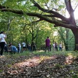 interpretation-walk-8220-drmun-8211-the-oak-tree-forest-8221