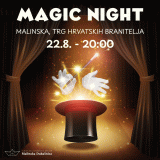 magic-night-madionicarska-predstava-za-cijelu-obitelj-madionicar-andrej-skedel