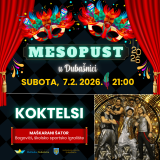 maskarana-festa-u-bogovicima-uz-koktelse-i-grupu-point